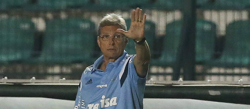 Foto: Cesar Greco/Agência Palmeiras
