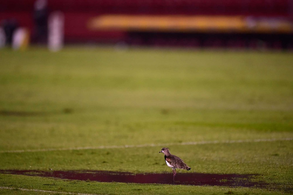 Foto: Fernando Dantas/Gazeta Press