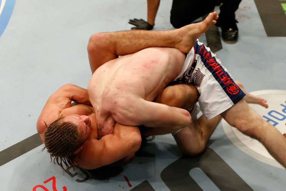 Faber finaliza Mc Donald com gulhotina - Divulgação UFC/Josh Hedges